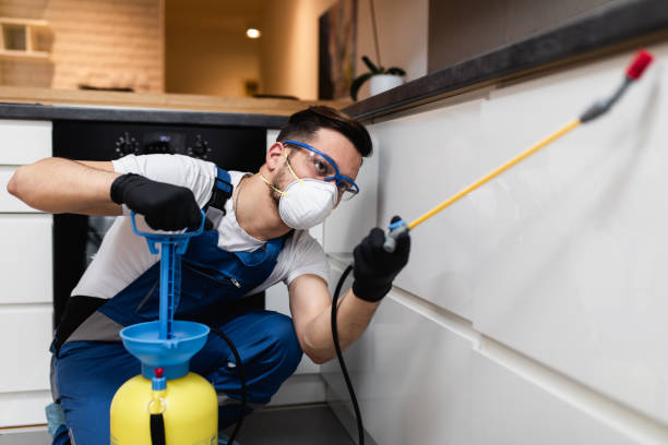 Best Emergency Pest Control  in Dover, NJ