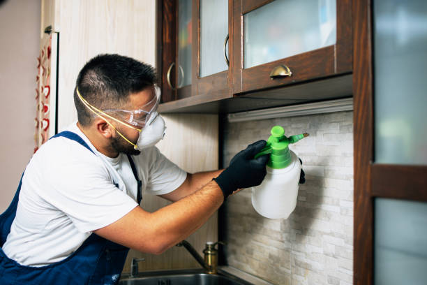 Best Wildlife Control Services  in Dover, NJ