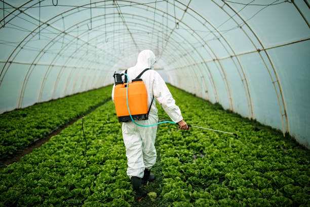 Pest Prevention Services in Dover, NJ