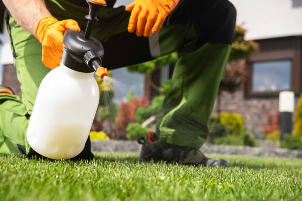 Best Flea Control Services  in Dover, NJ