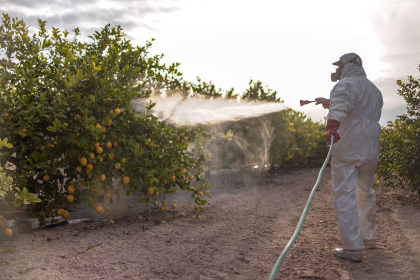 Trusted Dover, NJ Pest Control Experts