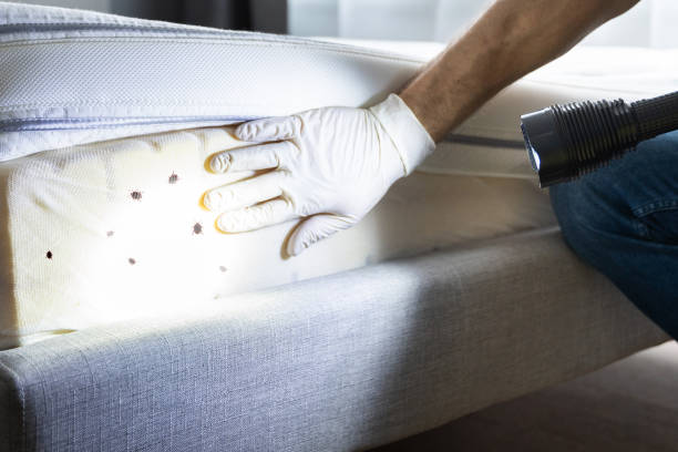 Best Pest Prevention Services  in Dover, NJ